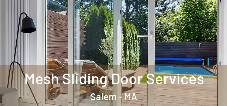 Mesh Sliding Door Services Salem - MA